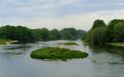 Loire sauvage
