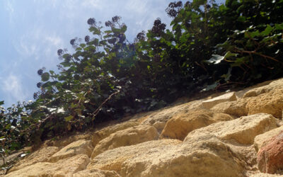 Les trois éléments