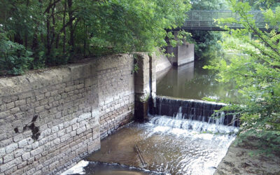 Le barrage des bois