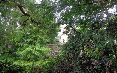 La forêt civile